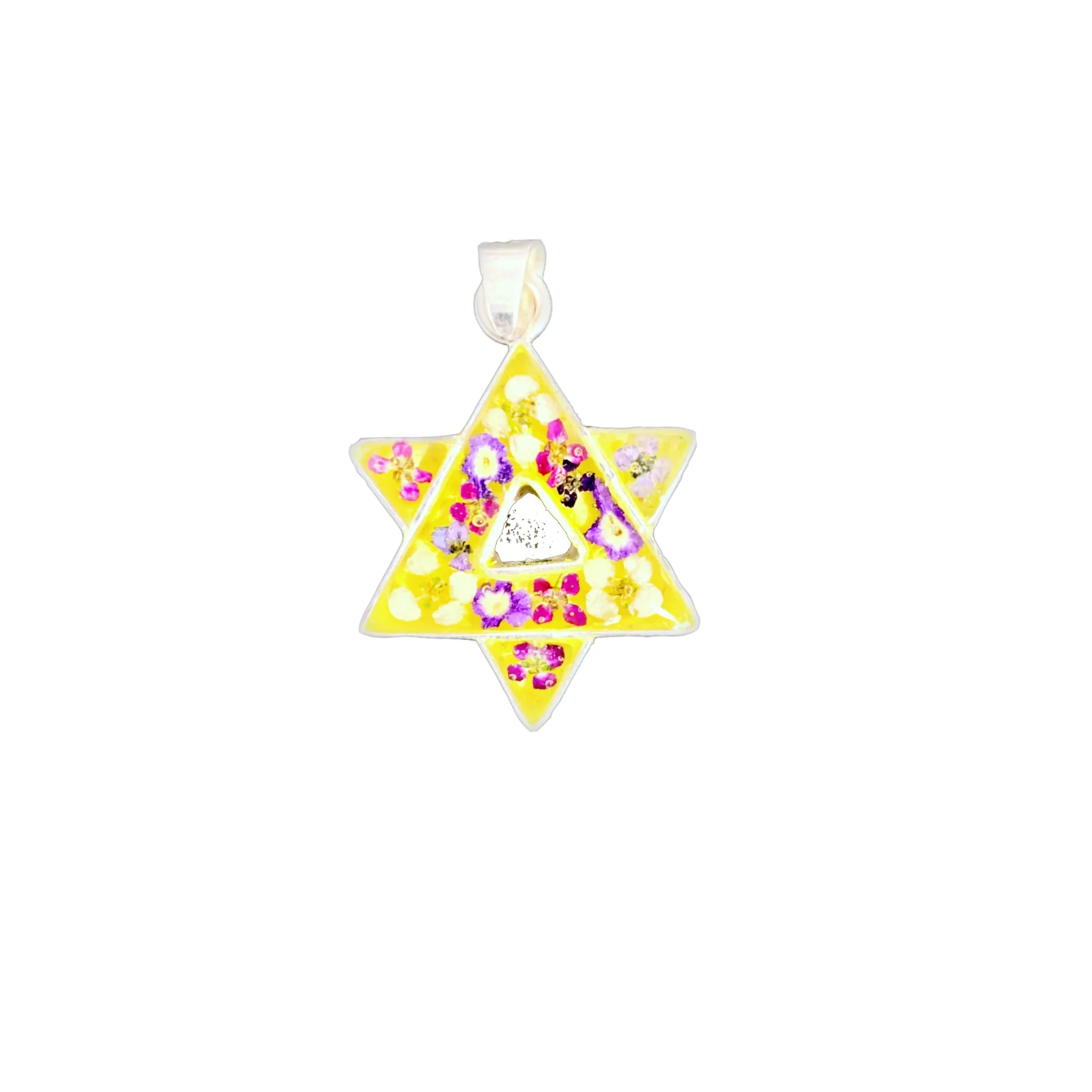 David Star Pendant w/ Pressed Flowers 18-inch - Image 3